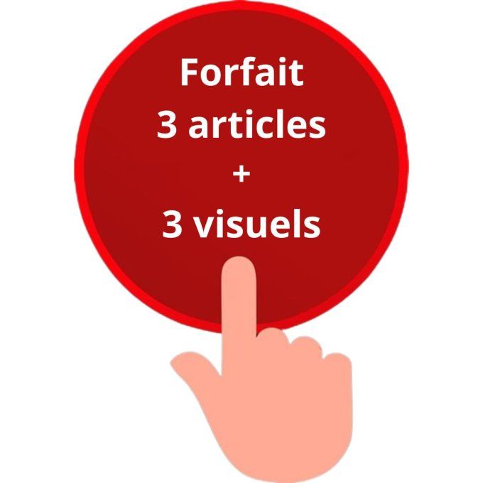 Forfait 3 articles